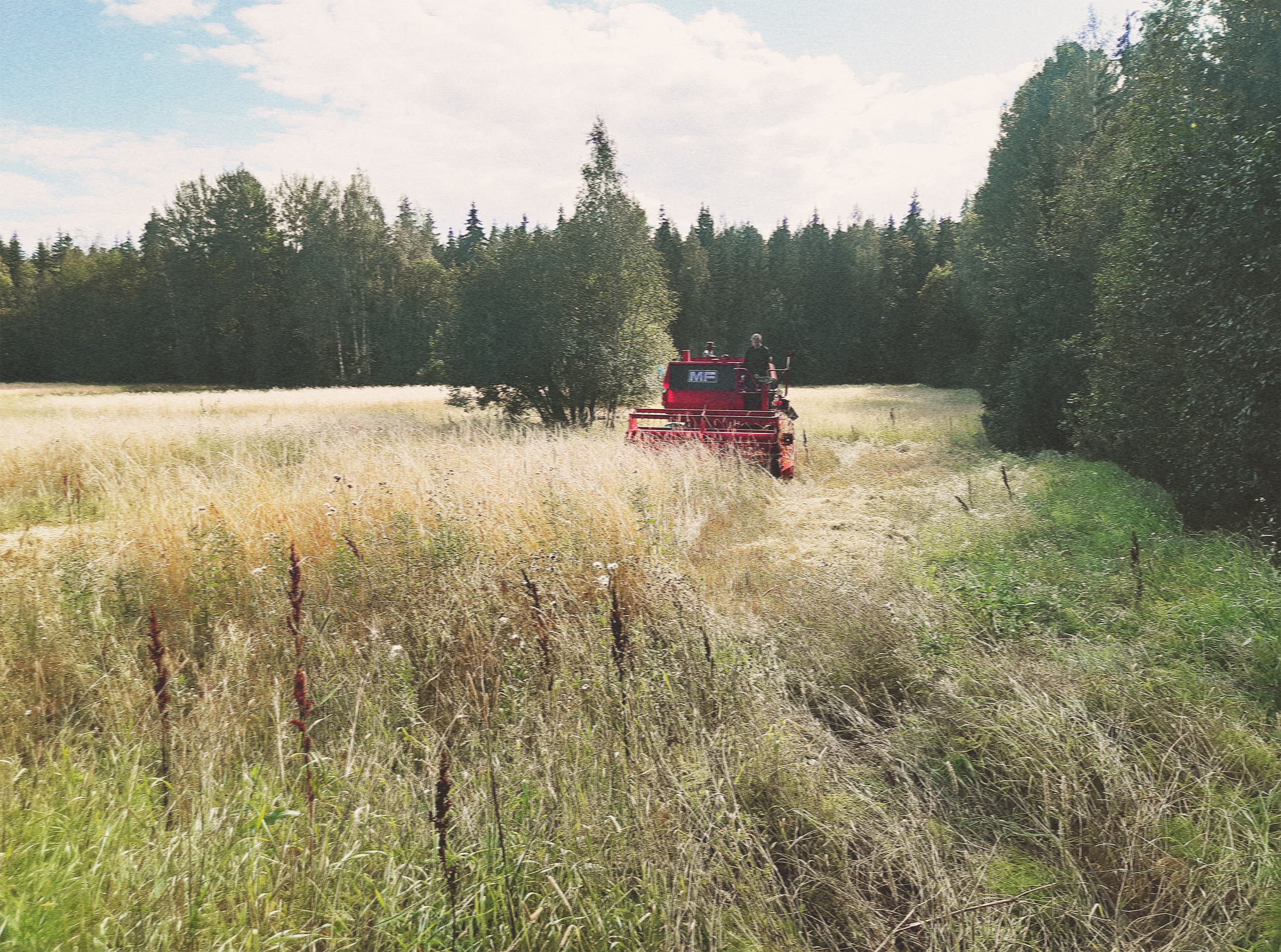 Photo of a field